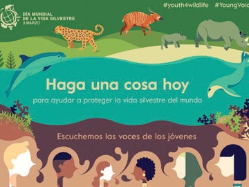 Escuchemos las voces de los jóvenes en el Día Mundial de la Vida Silvestre Escuchemos las voces de los jóvenes en el Día Mundial de la Vida Silvestre