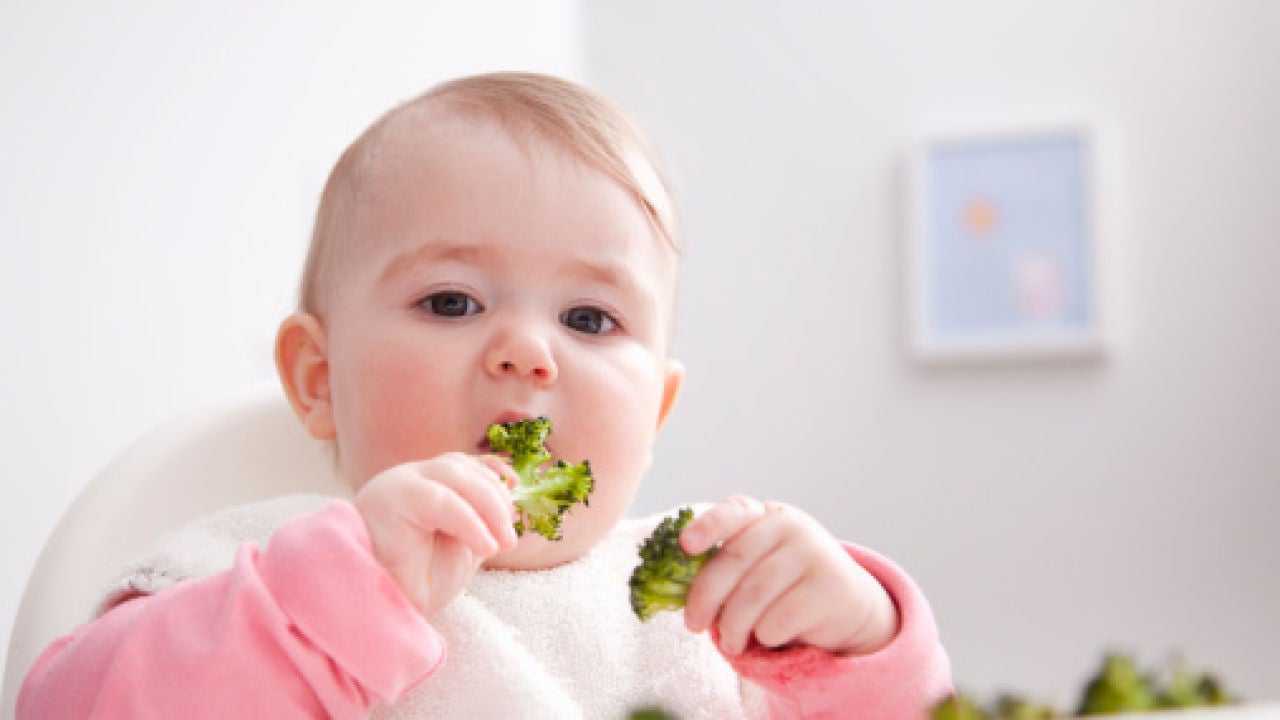 Como introducir alimentos bebe Como introducir alimentos bebe