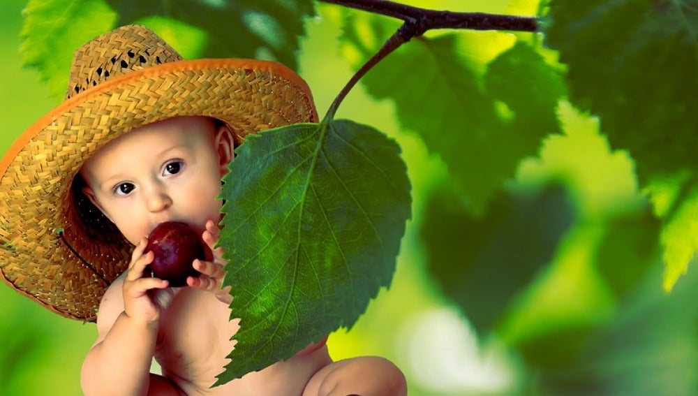 Diez frutas y verduras que podréis disfrutar en primavera