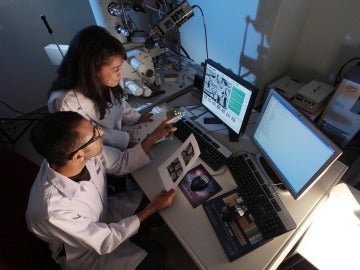 Investigadores desarrollan un programa informático que detecta y localiza el cáncer 