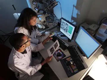 Investigadores desarrollan un programa informático que detecta y localiza el cáncer Investigadores desarrollan un programa informático que detecta y localiza el cáncer