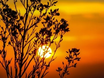 ¿Cómo influye el Sol en el calentamiento global?