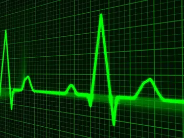 Constantes vitales Constantes vitales