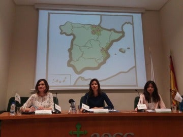 La AECC solicita la implantación de programas de cribado en toda España para la detección precoz del cáncer de colon 