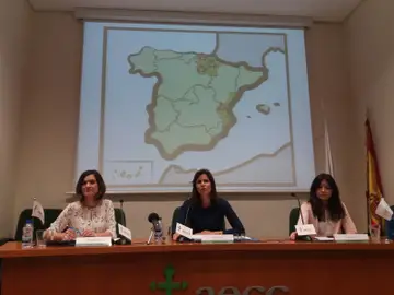 La AECC solicita la implantación de programas de cribado en toda España para la detección precoz del cáncer de colon La AECC solicita la implantación de programas de cribado en toda España para la detección precoz del cáncer de colon