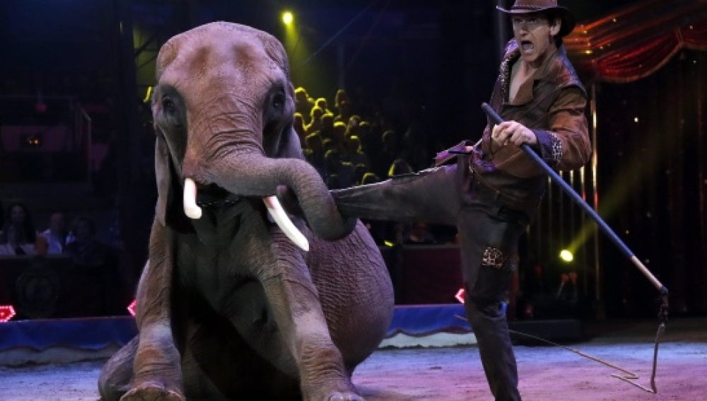 Imagen de un circo con animales
