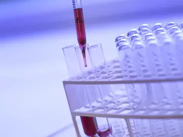 El presupuesto de I+D+i sube un 4,1% respecto al año anterior El presupuesto de I+D+i sube un 4,1% respecto al año anterior
