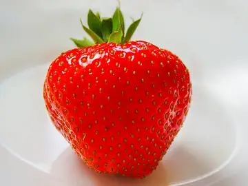 Fresa Fresa
