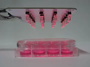 Científicos crean células cuya producción de insulina se controla con el móvil Científicos crean células cuya producción de insulina se controla con el móvil