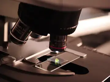 ciencia ciencia