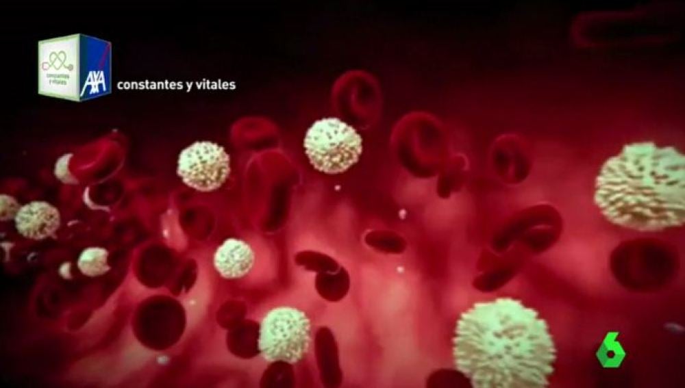 Científicos consiguen obtener células madre de la sangre 