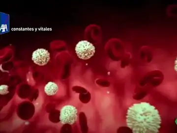 Científicos consiguen obtener células madre de la sangre Científicos consiguen obtener células madre de la sangre