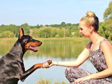  El yoga con animales, una iniciativa cada vez más extendida en algunas ciudades de EEUU