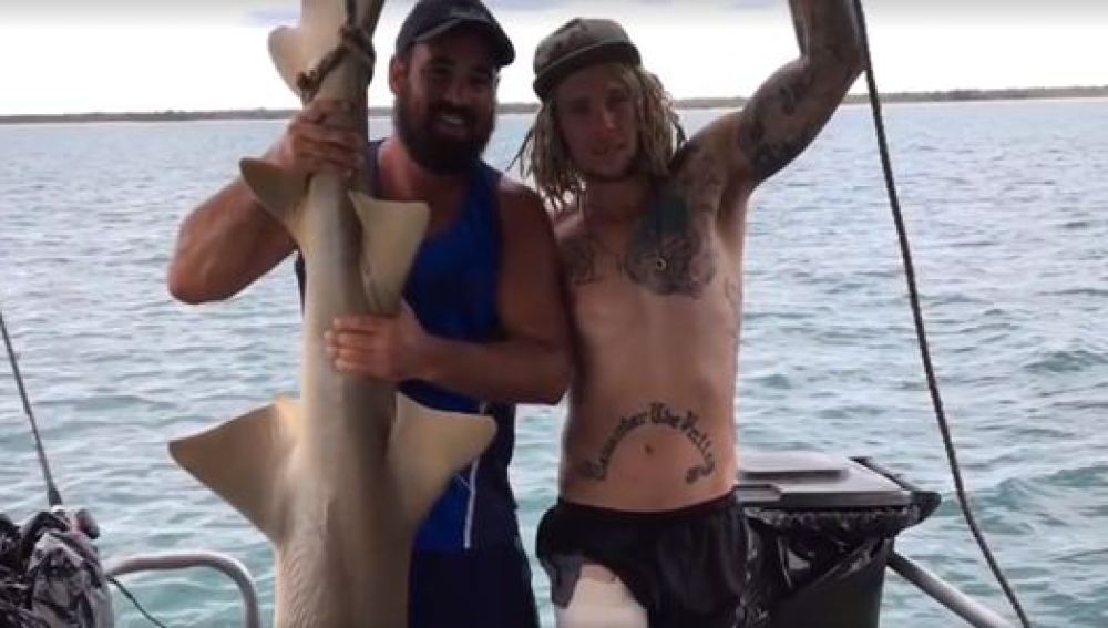 Un hombre intenta subirse encima de un tiburón y acaba matando al animal 