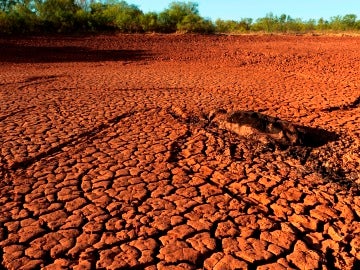 Tierra cuarteada por la sequía
