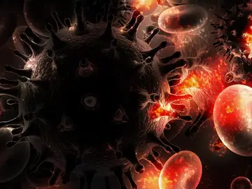 El VIH puede desarrollarse de manera más facil cuando el cuerpo se protege ante la enfermedad autoinmune El VIH puede desarrollarse de manera más facil cuando el cuerpo se protege ante la enfermedad autoinmune