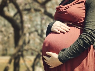 La exposicion al NO2 durante el embarazo perjudica a la capacidad de atencion en la infancia