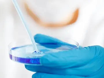 La pérdida de memoria se puede revertir interfiriendo en la enzima HDAC2 La pérdida de memoria se puede revertir interfiriendo en la enzima HDAC2