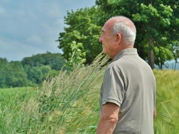 Un jubilado contempla el campo