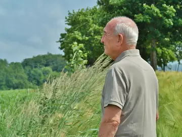 Un jubilado contempla el campo Un jubilado contempla el campo