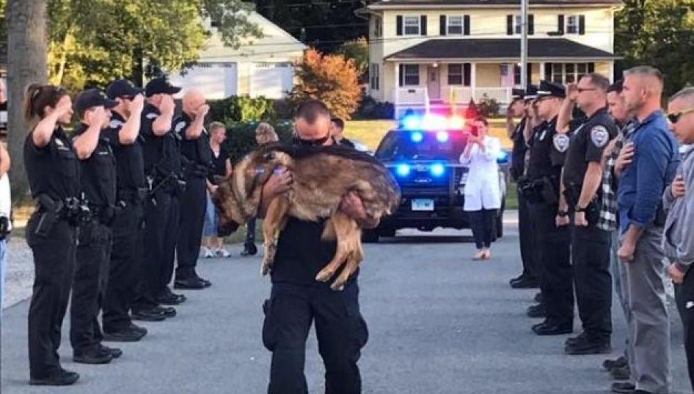  El emotivo homenaje de despedida a Hunter, un perro policía con cáncer 