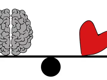 Siete consejos para mantener joven tu cerebro Siete consejos para mantener joven tu cerebro