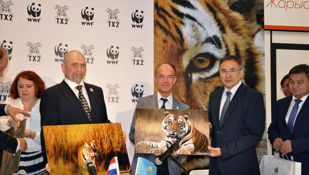 Reintroducirán el tigre en Kazajistán con ayuda de WWF
