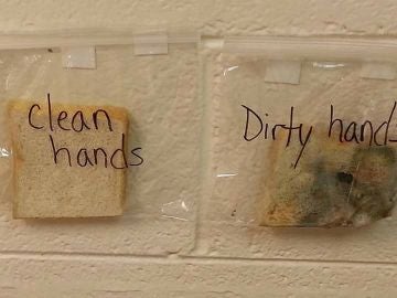 El 'experimento limpio' realizado por una profesora en EEUU para mostrar la importancia de la higiene
