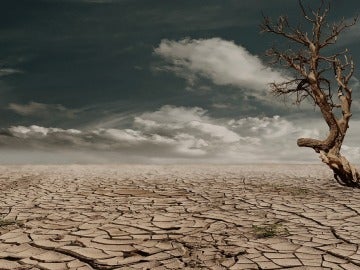 En 2030 habrá más de 500 millones de pobres a causa de la desertificación