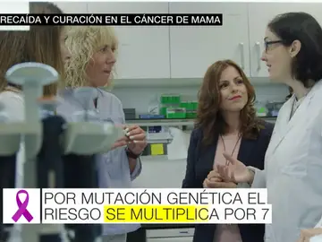 Con una mutación genética heredada se multiplican por siete las posibilidades de padecer cáncer de mama Con una mutación genética heredada se multiplican por siete las posibilidades de padecer cáncer de mama