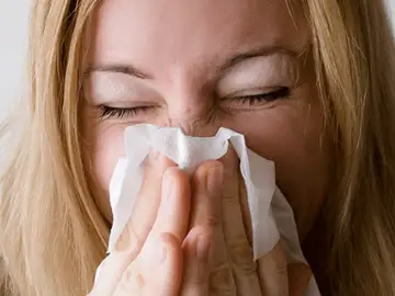 gripe_643x397 gripe_643x397