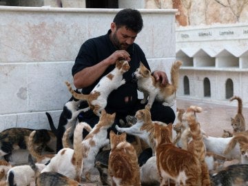 El hombre de los gatos de Alepo