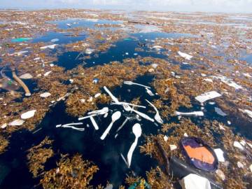 Hallan un mar de plástico en Honduras