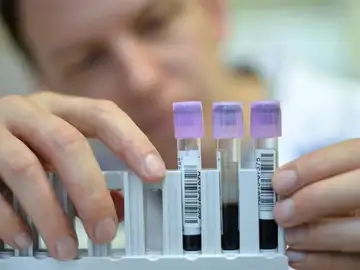 La falta de compromiso del Gobierno por la ciencia puede llevar al colapso La falta de compromiso del Gobierno por la ciencia puede llevar al colapso
