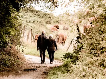 Desarrollan una herramienta que podría evaluar el riesgo de padecer Alzheimer Desarrollan una herramienta que podría evaluar el riesgo de padecer Alzheimer