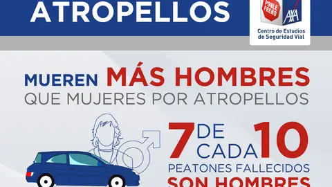 Radiografía de los atropellos en España Radiografía de los atropellos en España