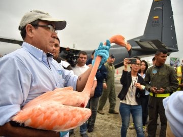 Animales silvestres, víctimas del tráfico ilegal, recuperan su libertad en Colombia