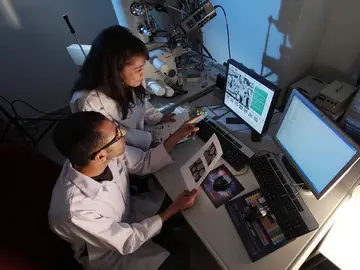 Investigadores diseñan un innovador método que podría detectar el cáncer de una manera rápida y precisa Investigadores diseñan un innovador método que podría detectar el cáncer de una manera rápida y precisa