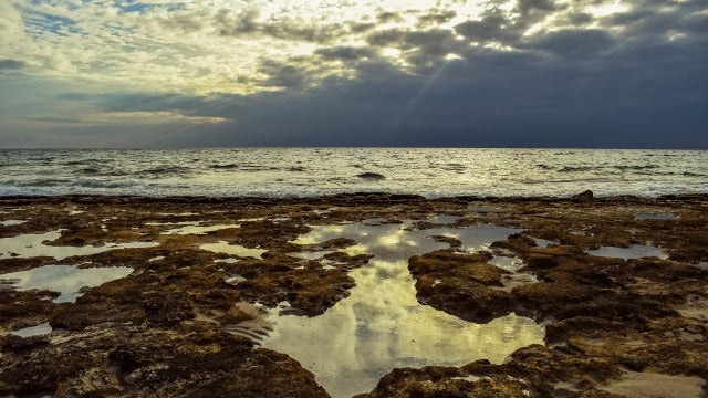 Los mares se deterioran