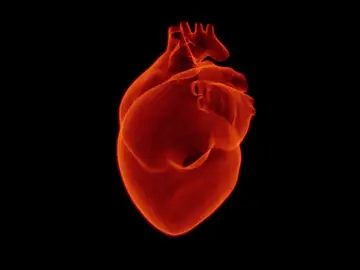 Que factores son clave para identificar el pronostico del infarto de miocardio Que factores son clave para identificar el pronostico del infarto de miocardio