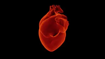 Que factores son clave para identificar el pronostico del infarto de miocardio Que factores son clave para identificar el pronostico del infarto de miocardio