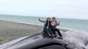 Dos turistas se hacen fotos encima de una ballena azul