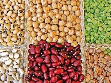 Las legumbres minimizan el riesgo de mortalidad por cancer Las legumbres minimizan el riesgo de mortalidad por cancer