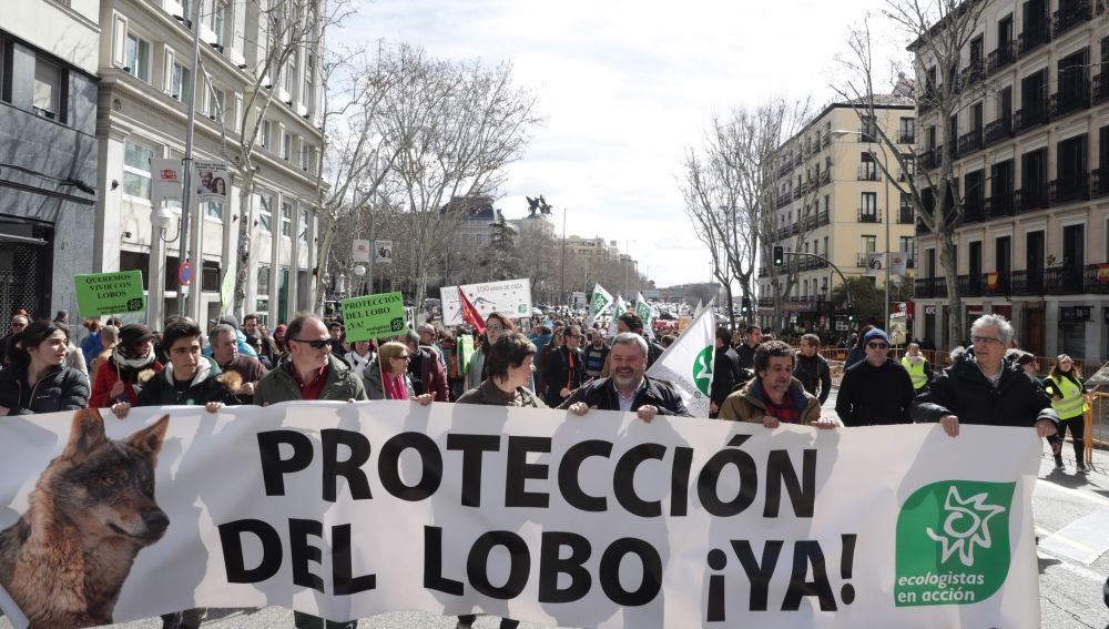 Unas 3.000 personas se manifiestan en Madrid para exigir la protección  del lobo ibérico