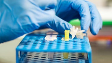 Un investigador en un laboratorio Un investigador en un laboratorio
