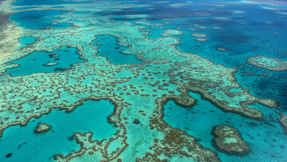 Australia destinará 313 millones de euros para cuidar la Gran Barrera de  Coral | HAZTE ECO