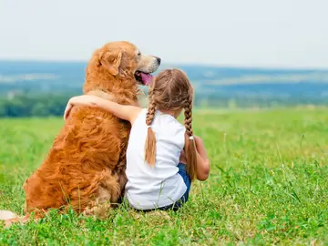 los perros son el principal reservorio del parásito causante de la leishmaniosis los perros son el principal reservorio del parásito causante de la leishmaniosis