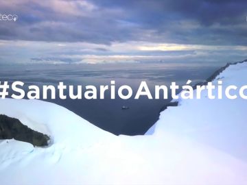 Hazte Eco se une Greenpeace para convertir el Antártico en la mayor área protegida del mundo