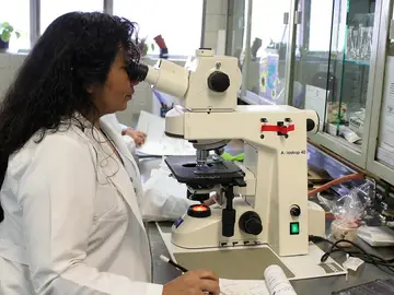 Hipra comenzará a producir la primera vacuna española contra la Covid-19 en octubre Hipra comenzará a producir la primera vacuna española contra la Covid-19 en octubre