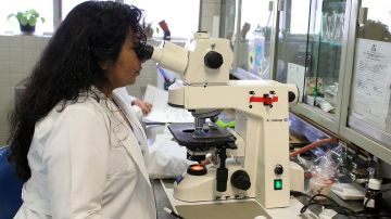 Mujer investigando en un laboratorio Mujer investigando en un laboratorio